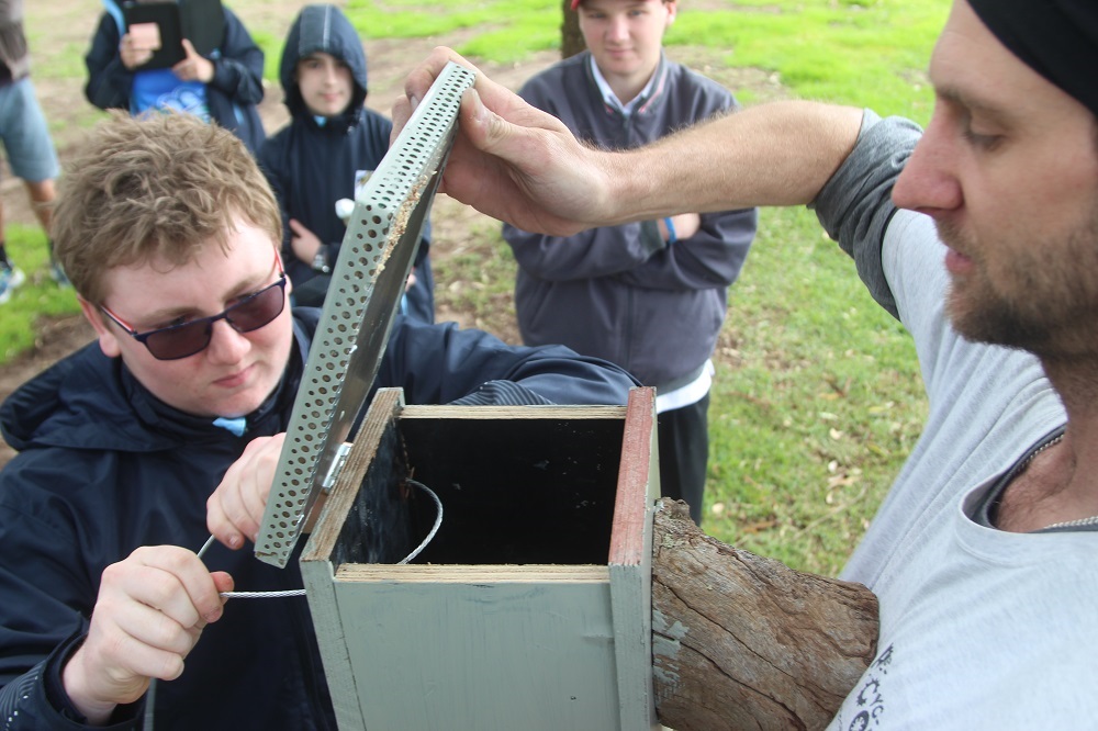 Bush Rangers helping to save our wildlife | Rockinhgam Senior High ...